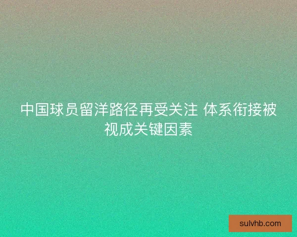 中国球员留洋路径再受关注 体系衔接被视成关键因素 中国球员留洋路径再受关注 体系衔接被视成关键因素